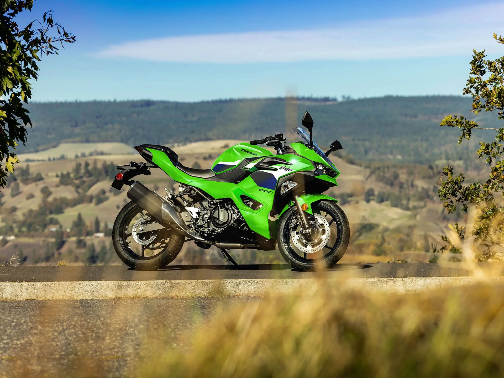 Kawasaki Ninja 500 side view
